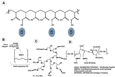 Biomimetic strategies for the deputization of proteoglycan functions